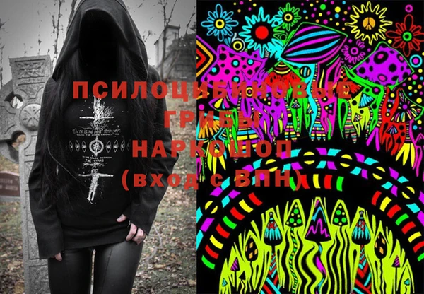 2c-b Касимов